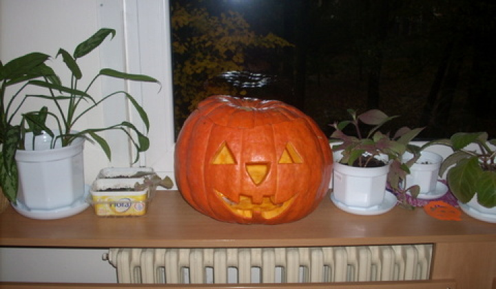 1. fotografia fotogalérie Halloween v ANIMA DSS