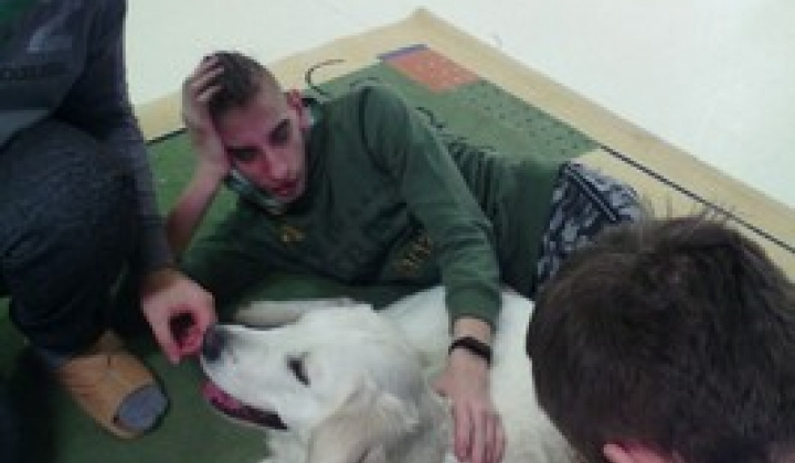 8. fotografia fotogalérie Canisterapia 2020 - 03.02.2020