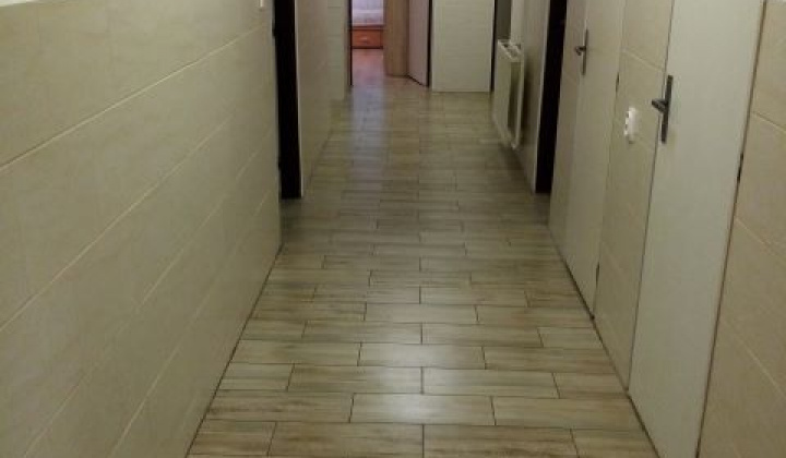 3. fotografia fotogalérie Útulok / Útulok v Baškovciach - foto