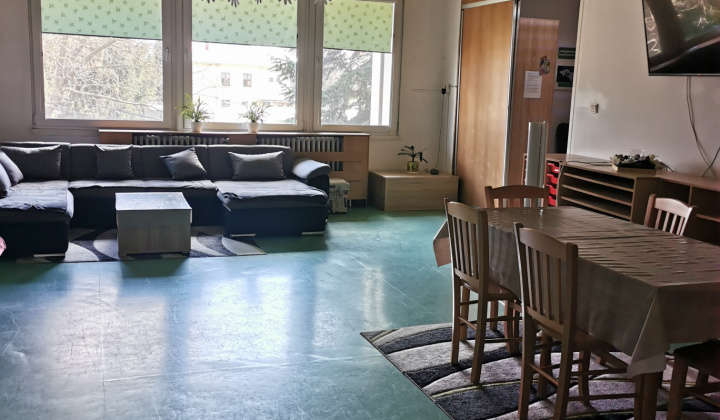 2. fotografia fotogalérie Útulok / Útulok v Michalovciach - foto