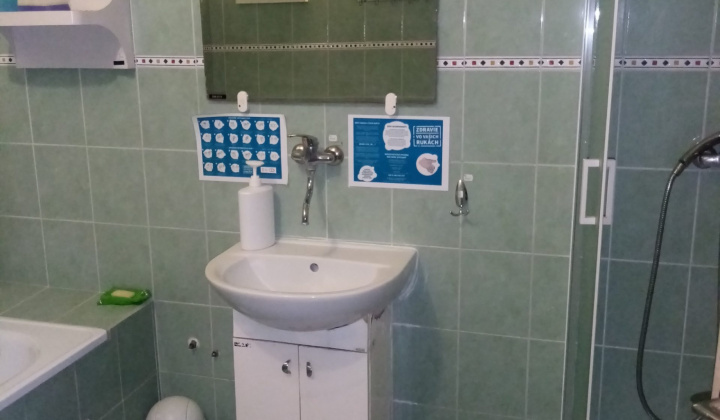 3. fotografia fotogalérie Útulok / Útulok v Michalovciach - foto