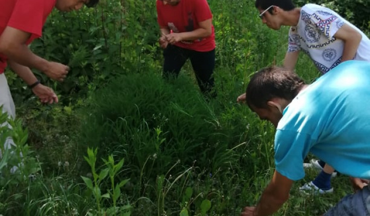 8. fotografia fotogalérie Pracovná terapia