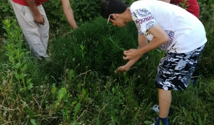 10. fotografia fotogalérie Pracovná terapia