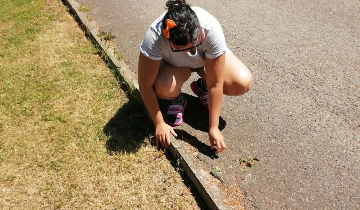 13. fotografia fotogalérie Pracovná terapia