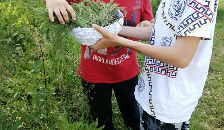 14. fotografia fotogalérie Pracovná terapia