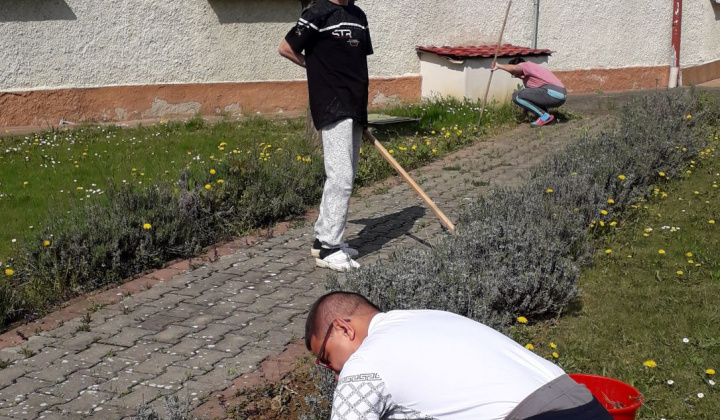 19. fotografia fotogalérie Pracovná terapia