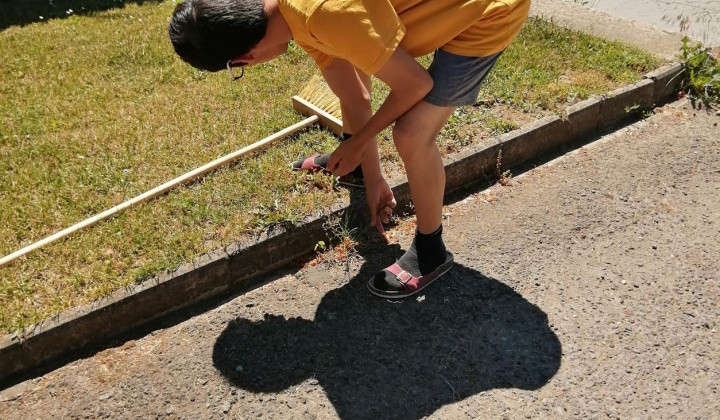 22. fotografia fotogalérie Pracovná terapia