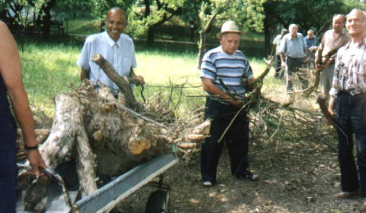 1. fotografia fotogalérie Pracovná činnosť