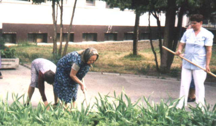 2. fotografia fotogalérie Pracovná činnosť