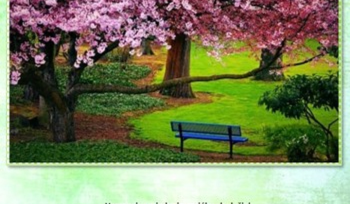 Fotka - Ročník 17, číslo 1/2024