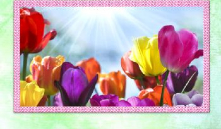 Fotka - Ročník 16, číslo 1/2023